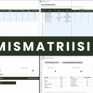 Osaamismatriisi Excel – täydellinen yleiskatsaus kaikista välilehdistä