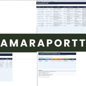 Poikkeamaraportti Excel - yleiskuva kaikista välilehdistä